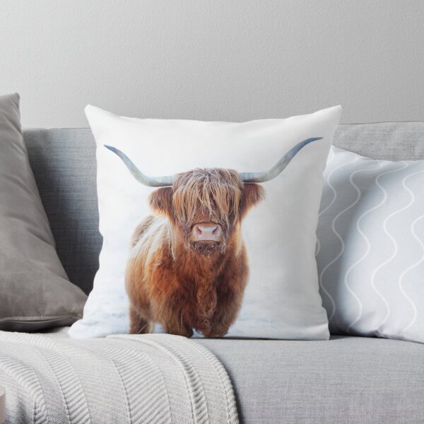 Cow pillows 2024