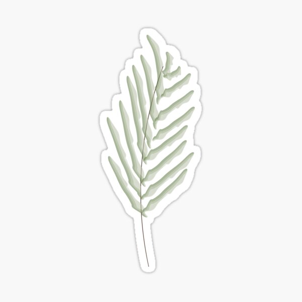 Leaf sketch Sticker