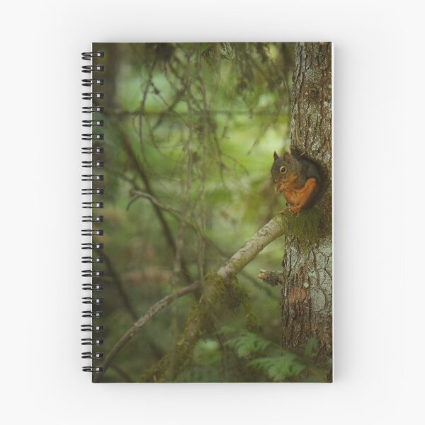 Item preview, Squirrel Breaks the Silence designed and sold by Lisa Knechtel.