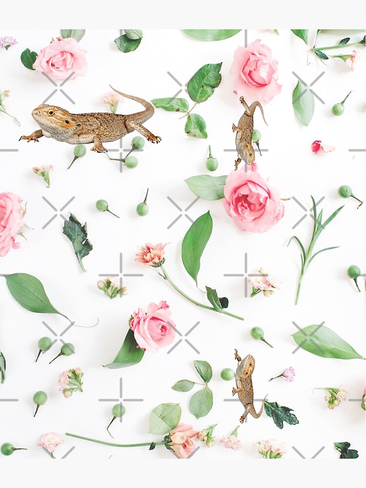 Bearded Dragon On A Carnation Background by snibbo71