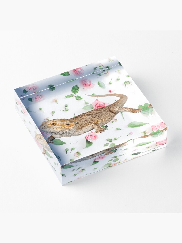 Alternate view of Bearded Dragon On A Carnation Background Acrylic Block