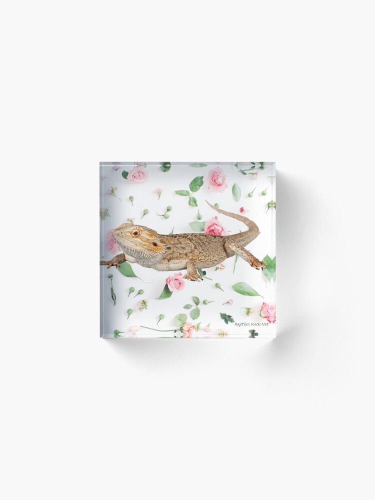 Alternate view of Bearded Dragon On A Carnation Background Acrylic Block