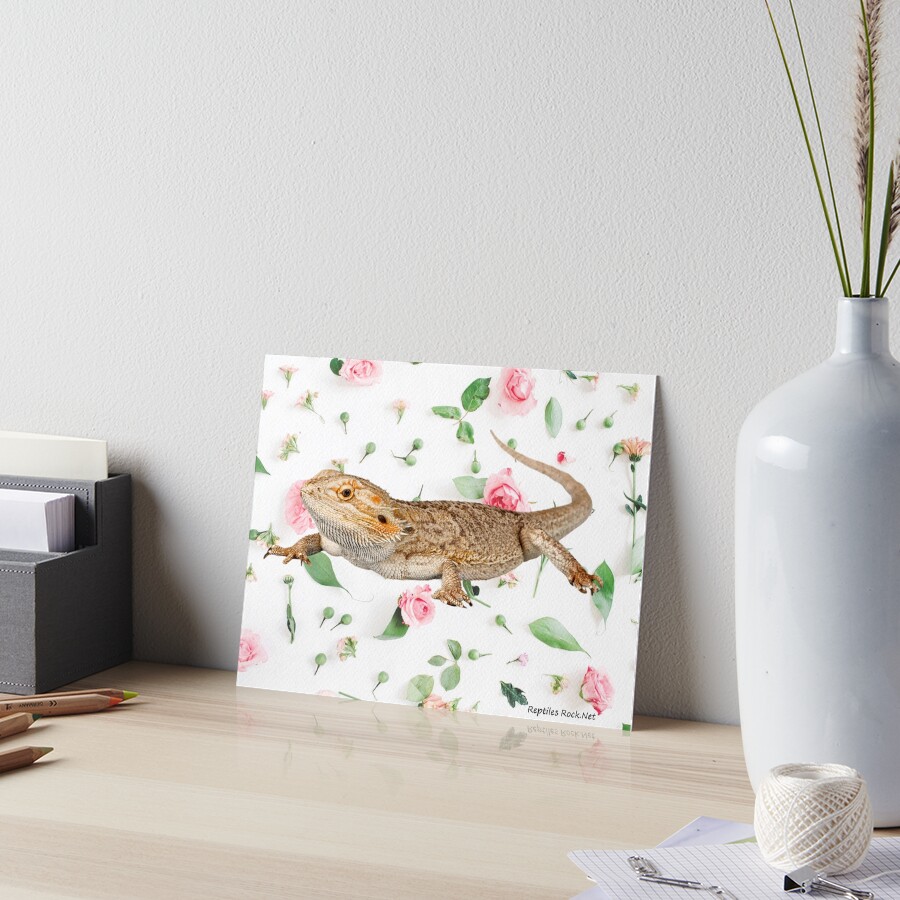 Bearded Dragon On A Carnation Background Art Board Print