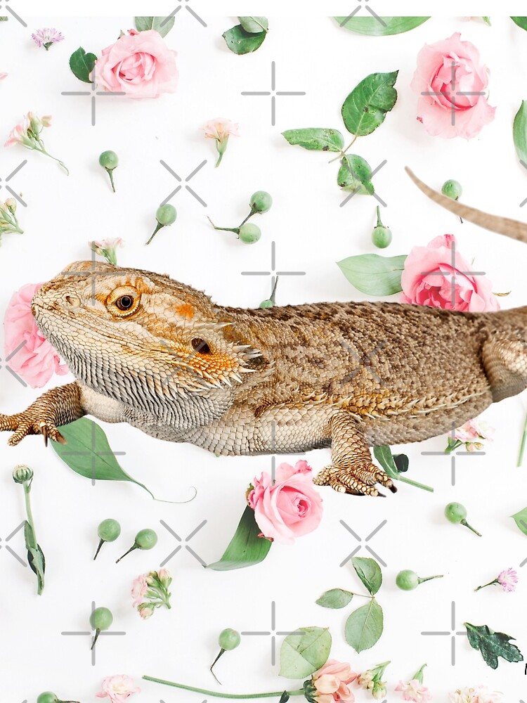 Bearded Dragon On A Carnation Background by snibbo71