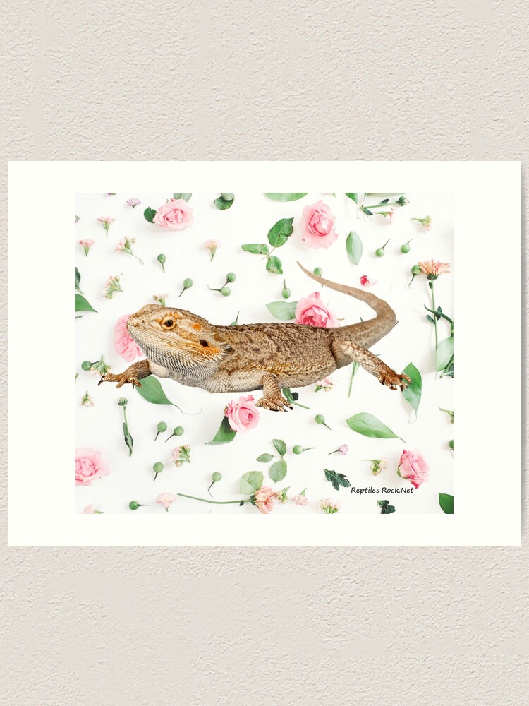 Alternate view of Bearded Dragon On A Carnation Background Art Print