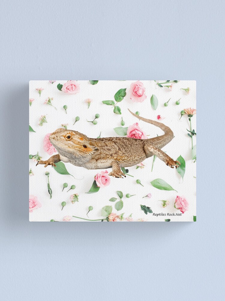 Alternate view of Bearded Dragon On A Carnation Background Canvas Print
