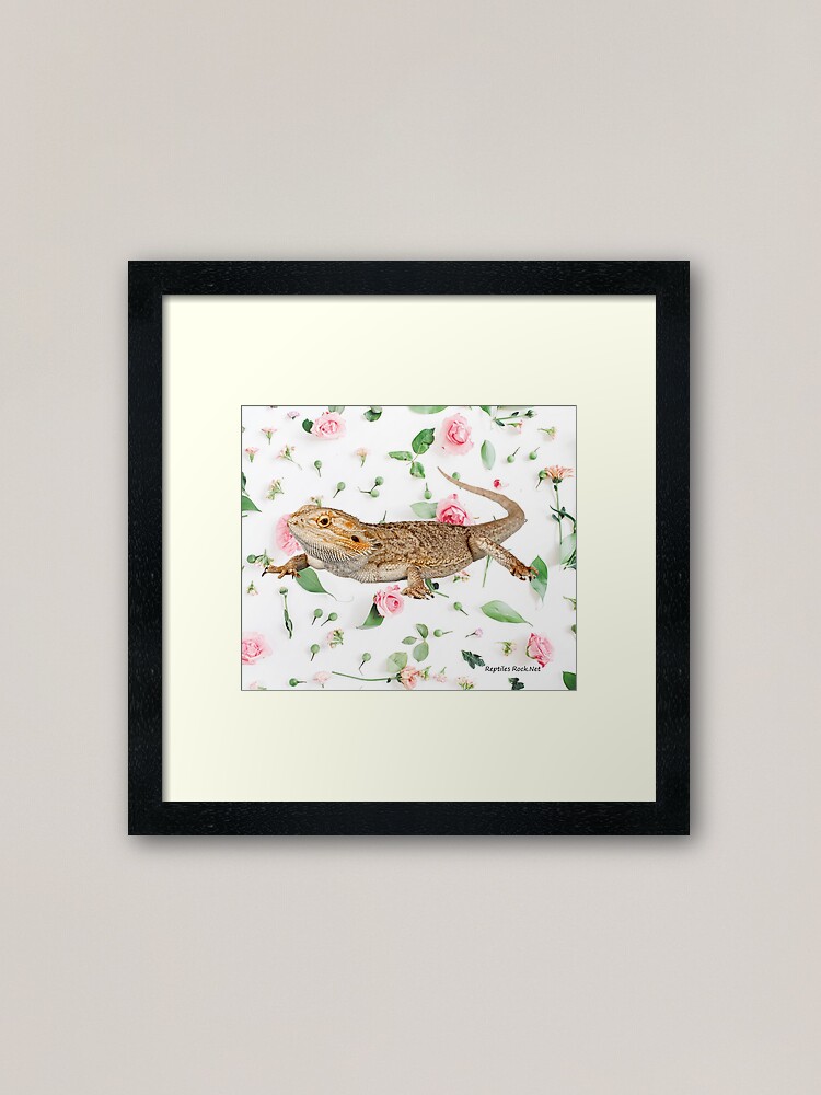 Alternate view of Bearded Dragon On A Carnation Background Framed Art Print
