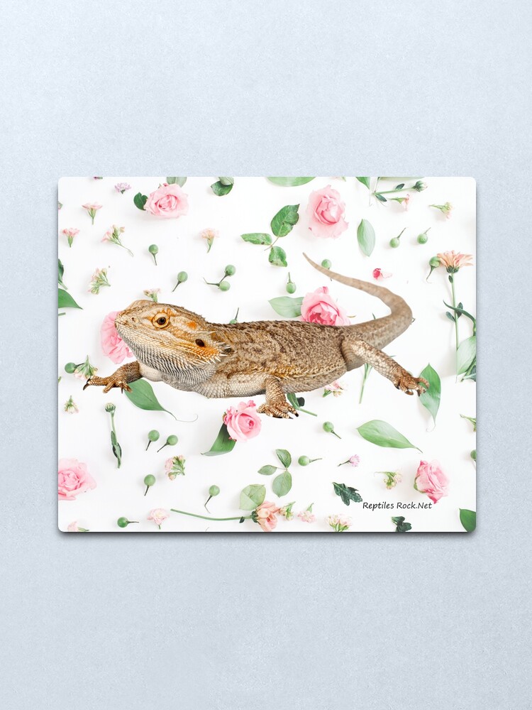 Alternate view of Bearded Dragon On A Carnation Background Metal Print
