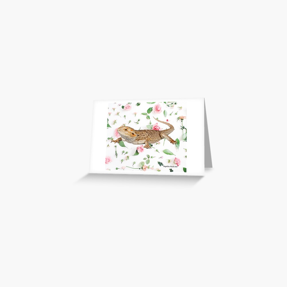 Bearded Dragon On A Carnation Background Greeting Card