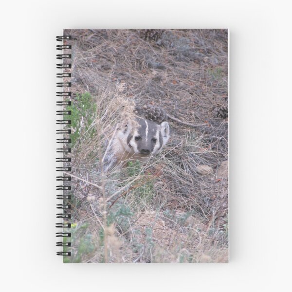 Item preview, Badger designed and sold by David D. Shaw.