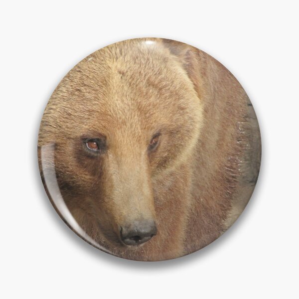 Item preview, Brown Bear designed and sold by David D. Shaw.