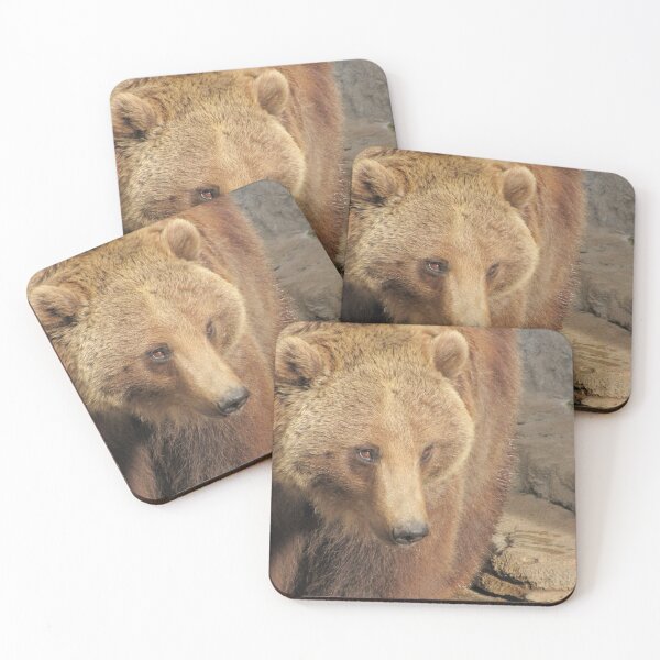 Artikelvorschau, Brown Bear entworfen und verkauft von David D. Shaw.