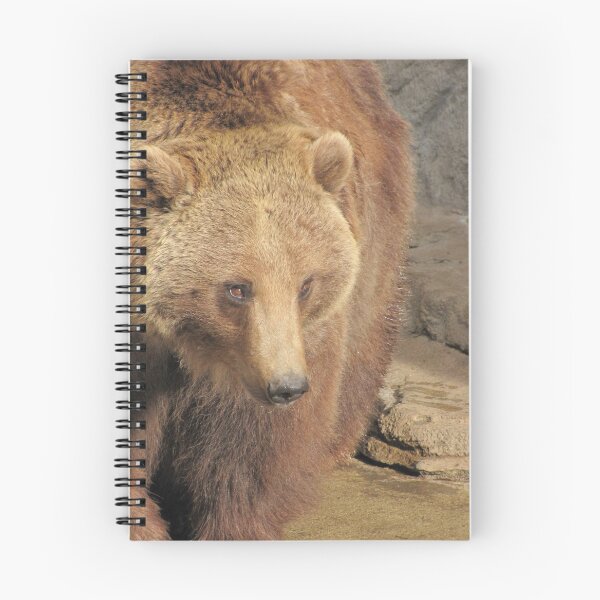 Item preview, Brown Bear designed and sold by David D. Shaw.