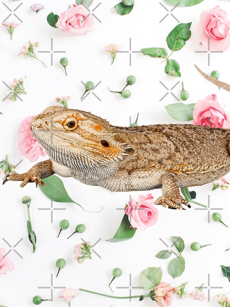 Bearded Dragon On A Carnation Background by snibbo71