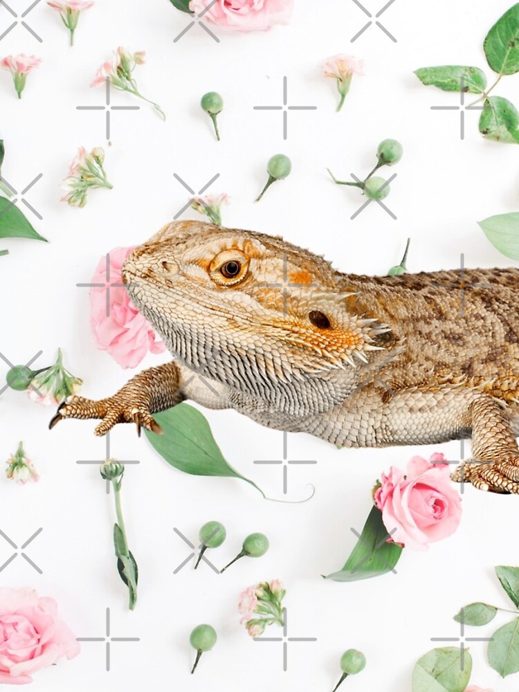 Bearded Dragon On A Carnation Background by snibbo71