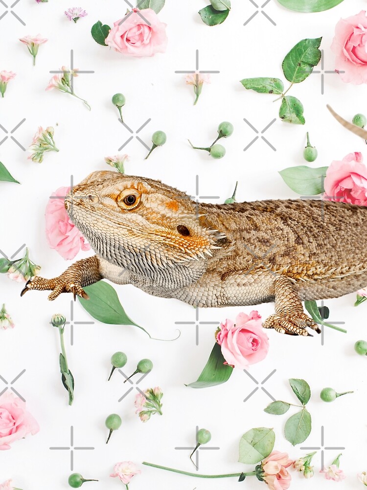 Bearded Dragon On A Carnation Background by snibbo71