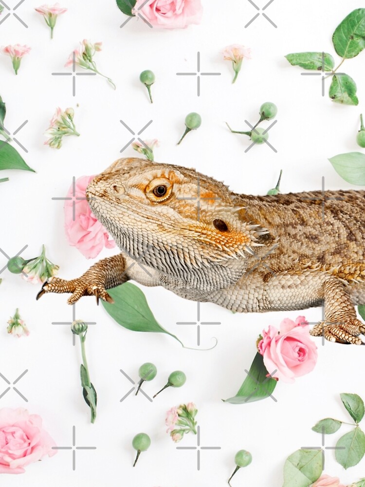 Bearded Dragon On A Carnation Background by snibbo71