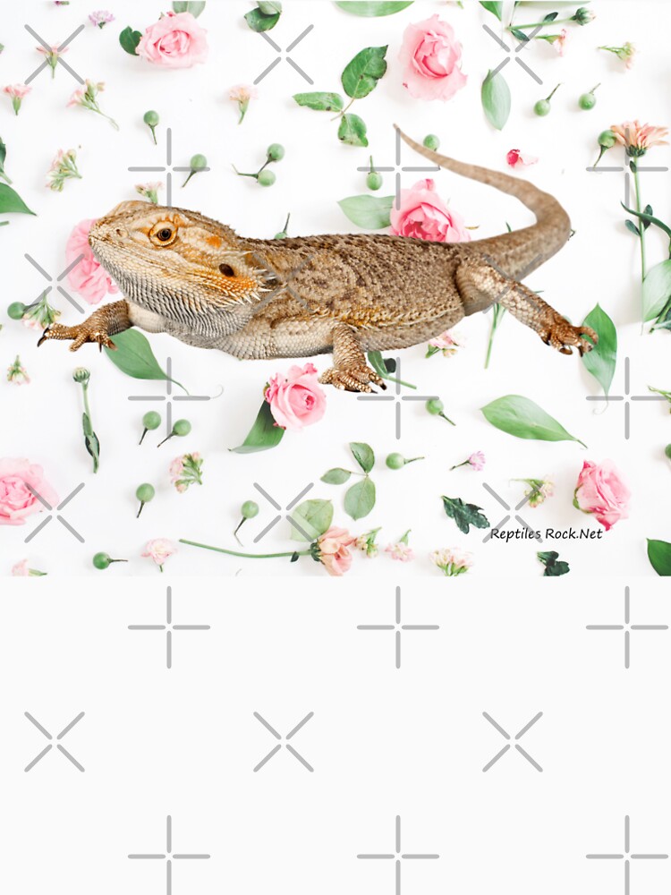 Bearded Dragon On A Carnation Background by snibbo71