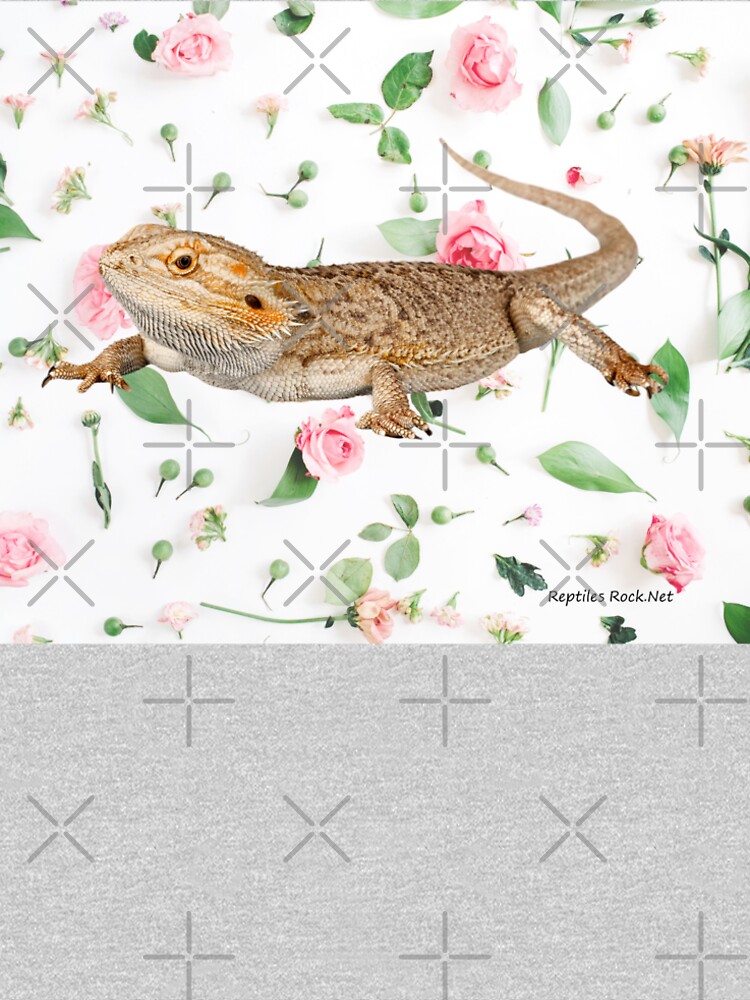 Bearded Dragon On A Carnation Background by snibbo71