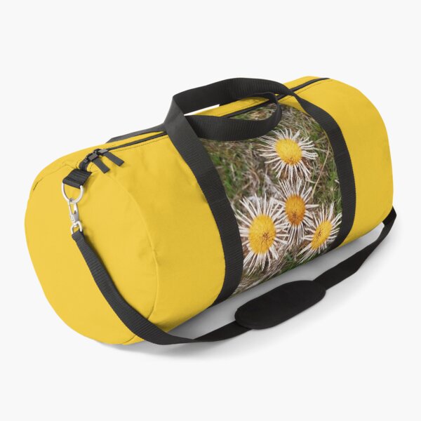 Item preview, Carline Thistle, Malling Nature Reserve, Lewes designed and sold by Emma  Amies.