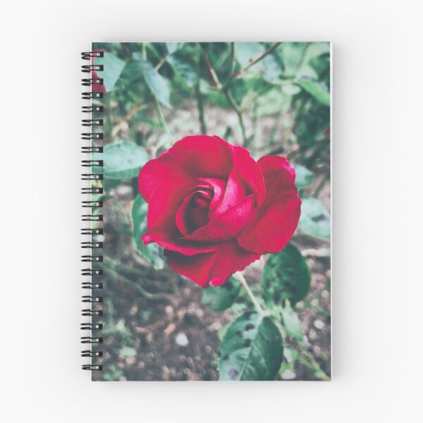 Item preview, Crimson Red Rose  designed and sold by Wildwood Flower Photography Co. by Tamara Black.