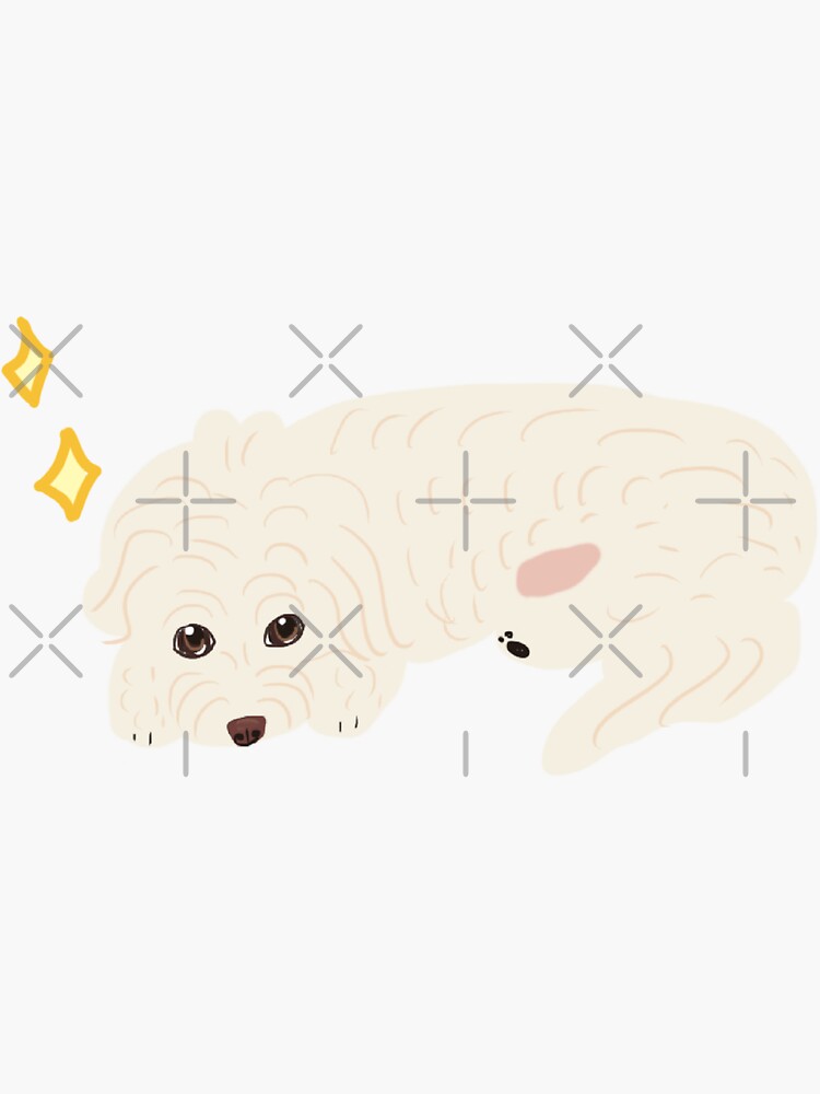 "Maltipoo Cute Face" Sticker for Sale by PatternbyNOK Redbubble