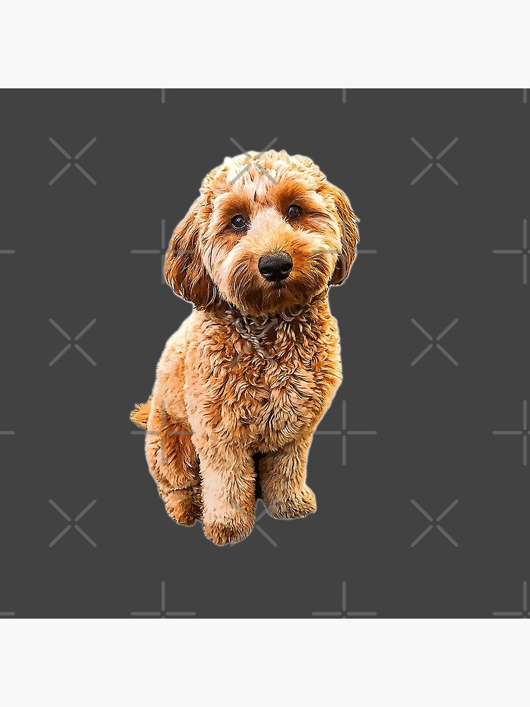 Goldendoodle Puppy Dog Labradoodle Poodle mix x Tote Bag
