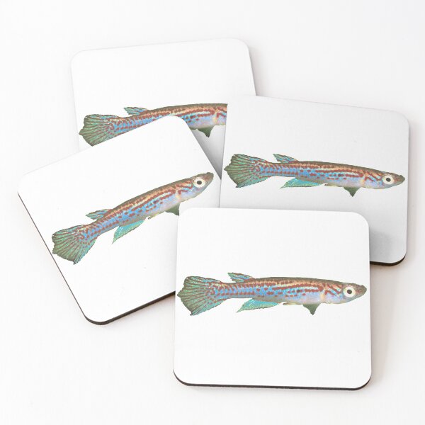 Item preview, Adamans - Killifish designed and sold by killies.
