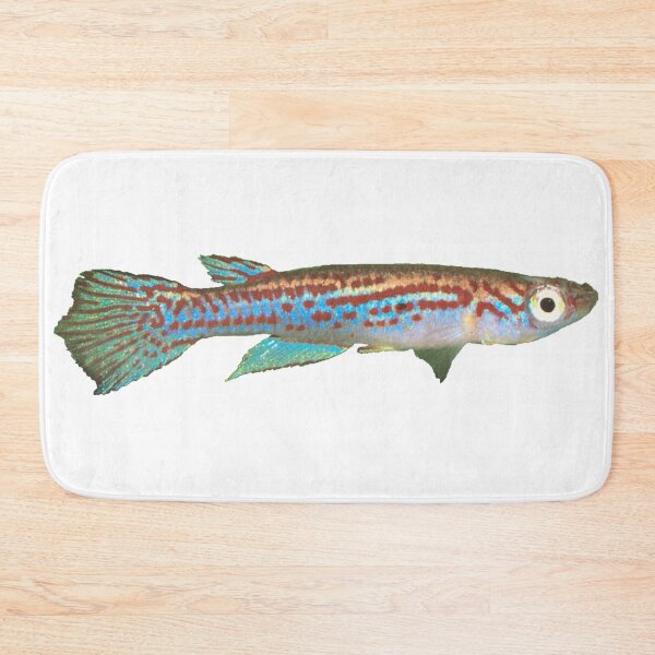 Item preview, Adamans - Killifish designed and sold by killies.