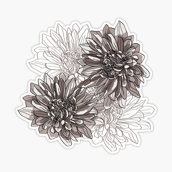 Minimalist Chrysanthemum Drawing on White Background for Tattoo Stock  Illustration - Illustration of style, campanula: 284766324