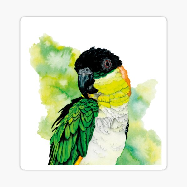 Green-bridled parrot '' Gorbi '' Sticker
