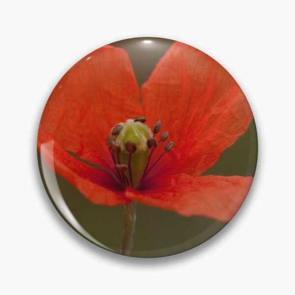 Item preview, Common poppy designed and sold by Jon Lees.