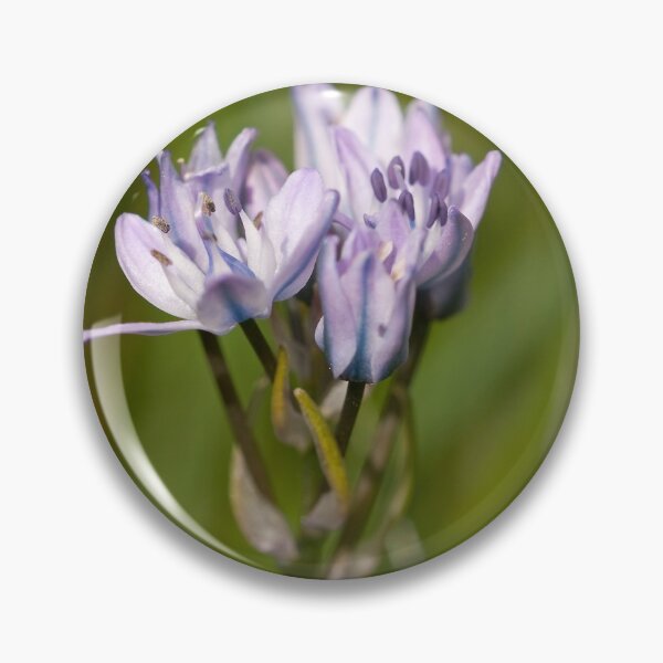 Item preview, Spring Squill designed and sold by Jon Lees.