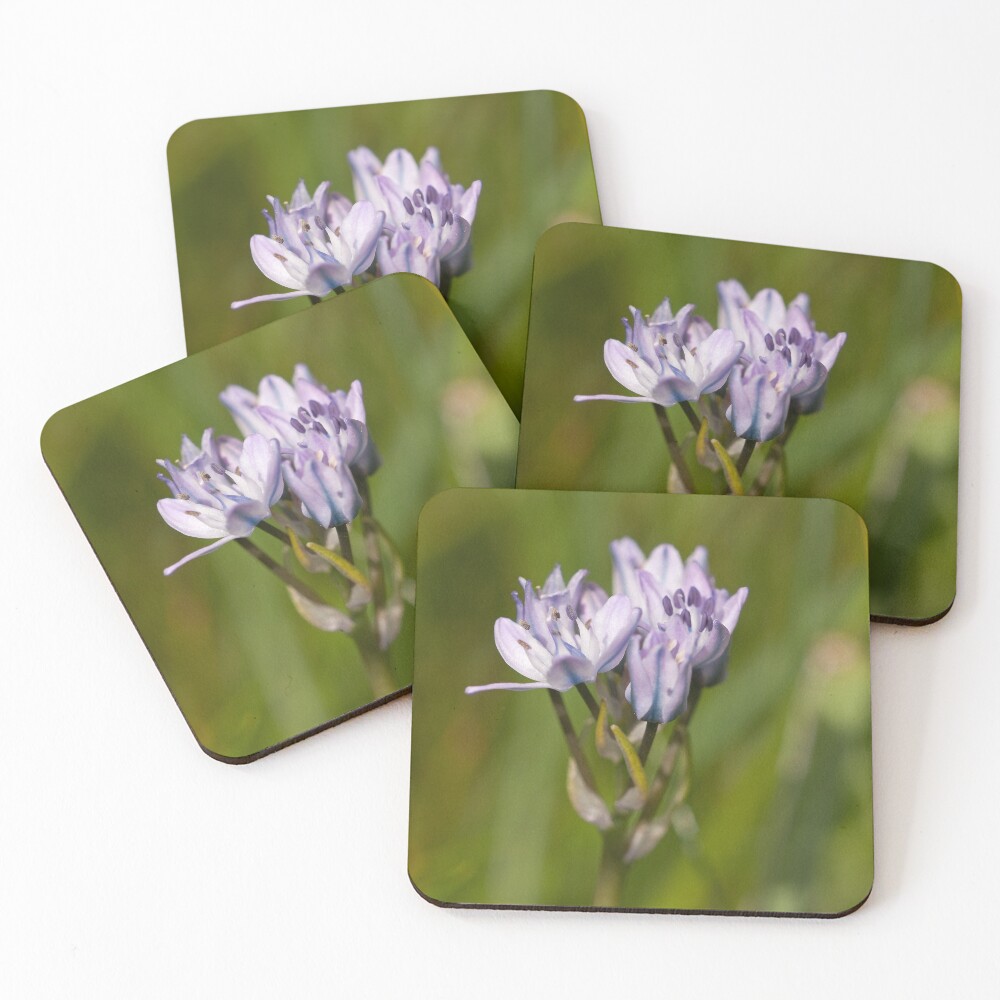 Item preview, Coasters (Set of 4) designed and sold by jon77lees.