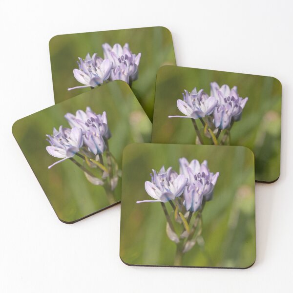 Item preview, Spring Squill designed and sold by Jon Lees.