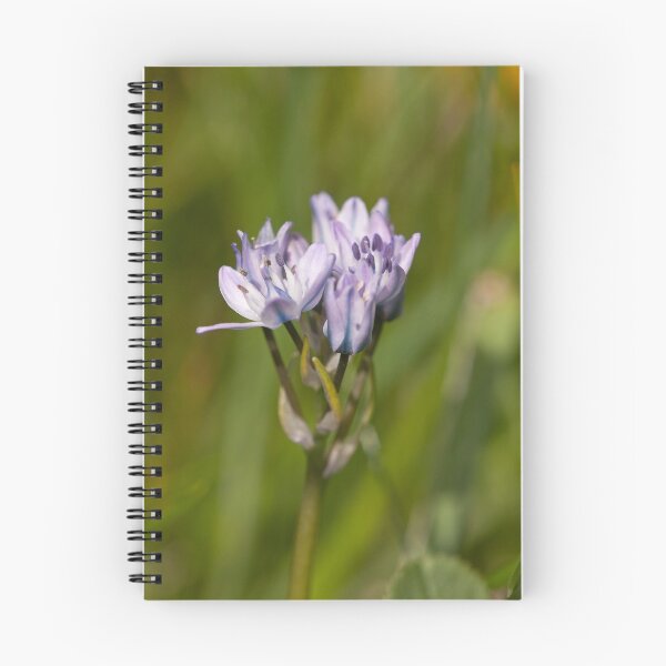 Item preview, Spring Squill designed and sold by Jon Lees.