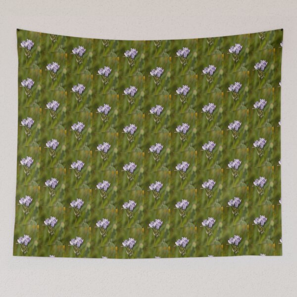 Item preview, Spring Squill designed and sold by Jon Lees.