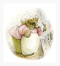 Mrs Tiggywinkle Beatrix Potter Photographic Print