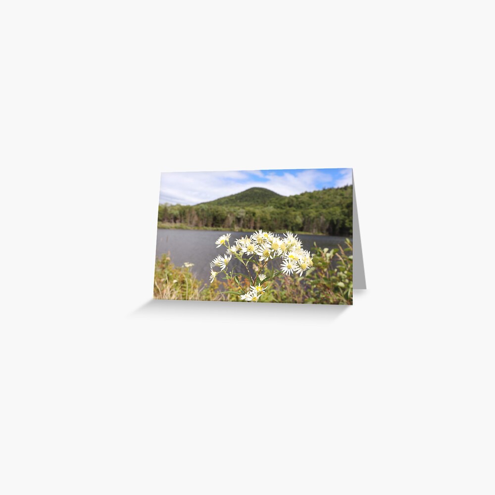 Daisies and Mountains Greeting Card