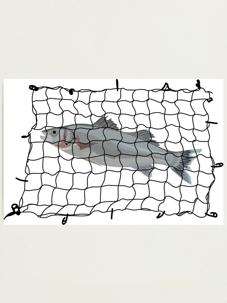 Fish in a Fishing Net | Photographic Print
