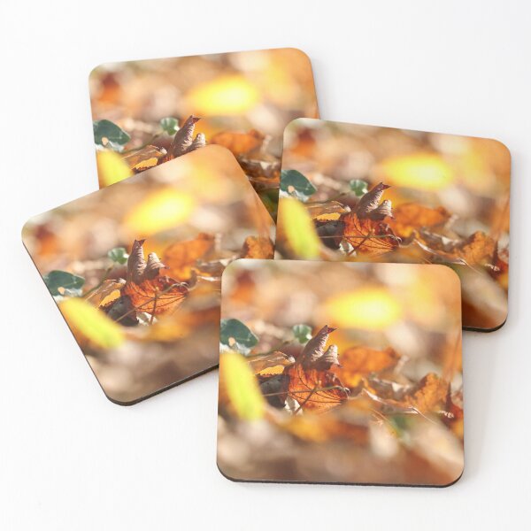 Item preview, Autumn leaves closeup I designed and sold by GreyFeatherPhot.