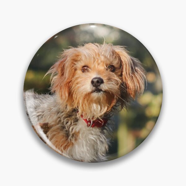 Item preview, Scruffy dog designed and sold by GreyFeatherPhot.