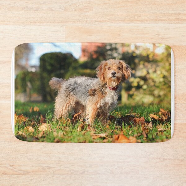 Item preview, Scruffy dog designed and sold by GreyFeatherPhot.