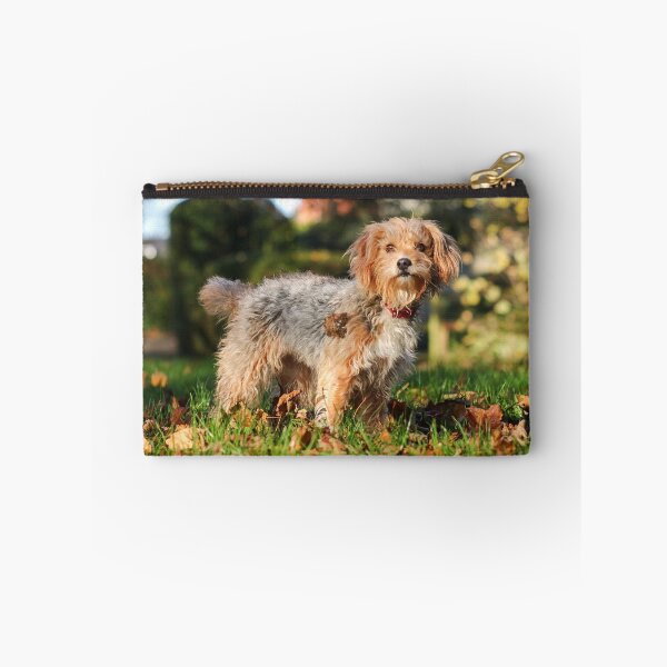 Item preview, Scruffy dog designed and sold by GreyFeatherPhot.