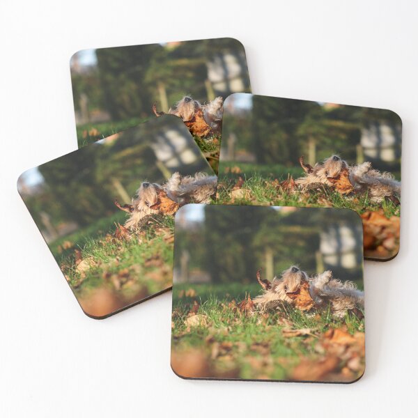 Item preview, Joy in autumn designed and sold by GreyFeatherPhot.