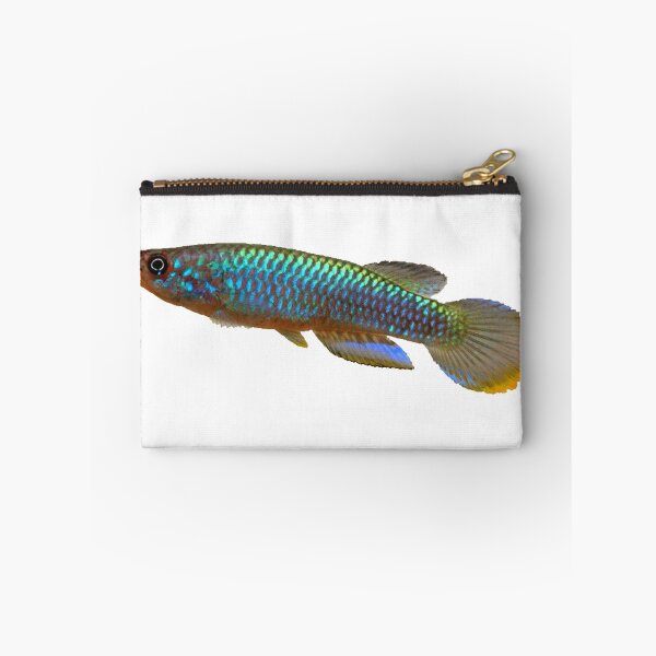 Item preview, Epiplatys guineensis  designed and sold by killies.