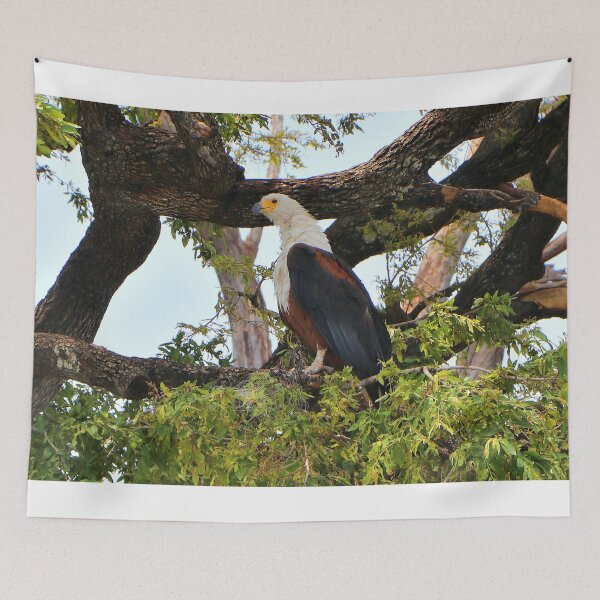 Item preview, Fish eagle, Chobe River, Botswana designed and sold by FranWest.