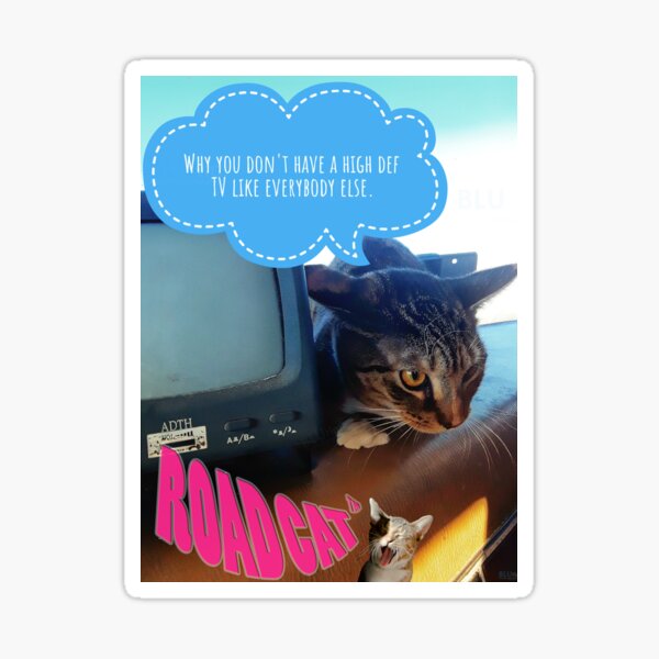 Copy of Road Cat Sticker