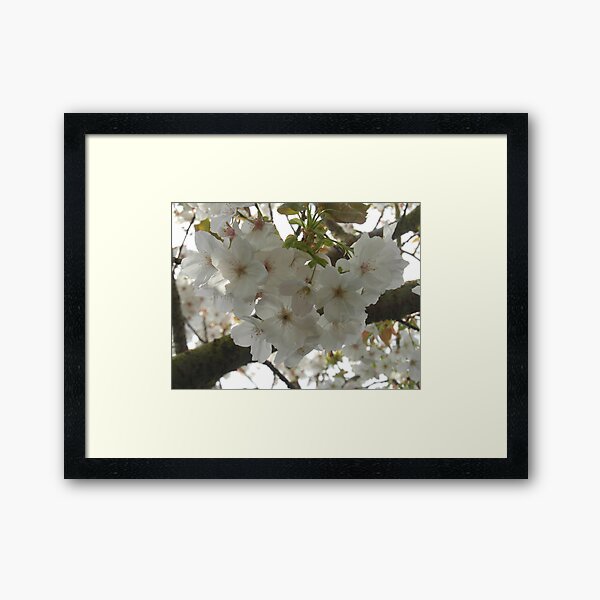 Item preview, White blossom designed and sold by Sandra Willis.