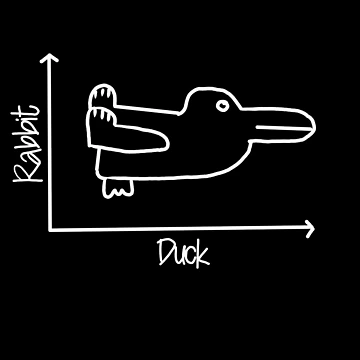 Artwork thumbnail, Duck Rabbit Maths equation graph by tqueen